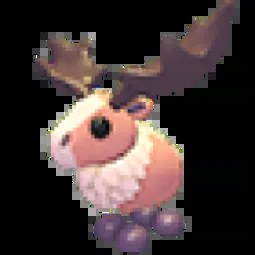 MFR Papa Moose