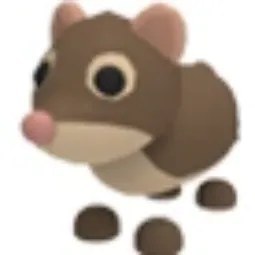 Shrew M