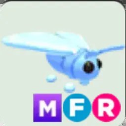 MFR Glacier Moth
