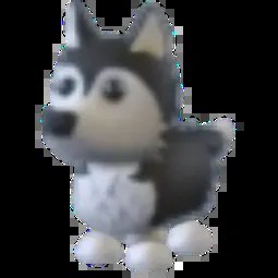 Husky M