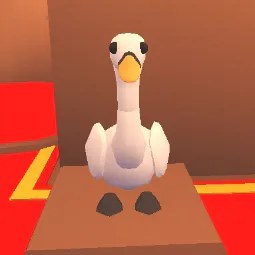 Swan M