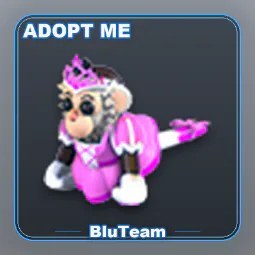M Princess Capuchin Monkey