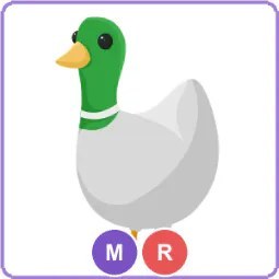 MR Silly Duck
