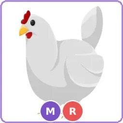 MR Chicken