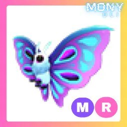 MR Moonlight Moth