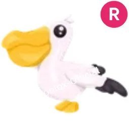 Pelican R