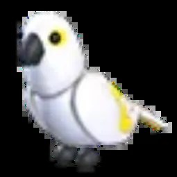 White Amazon M