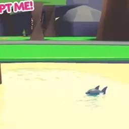MR Shark