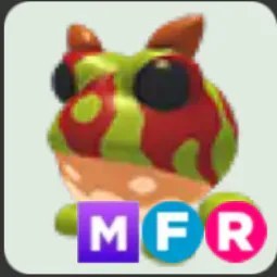 Ornate Horned Frog MFR