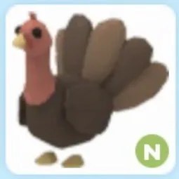 N Turkey Adm