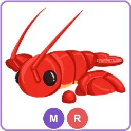 MR Lobster