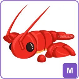 M Lobster