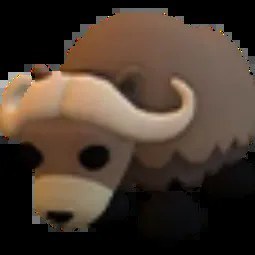 Musk Ox M