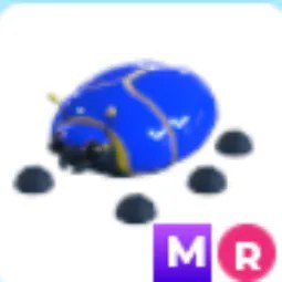 MR Giant Blue Scarab