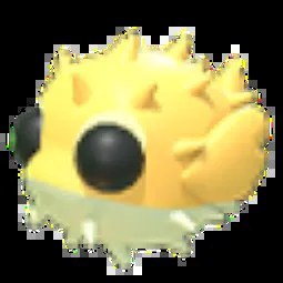 FR Puffer Fish