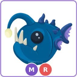 MR Angler Fish