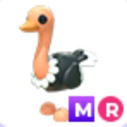 MR Ostrich