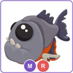 MR Piranha
