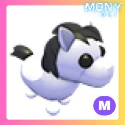 M Shetland Pony White