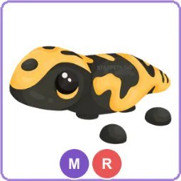 MR Gila Monster