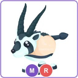 MR Oryx