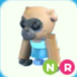 NR Influencer Gibbon
