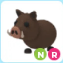 NR Wild Boar
