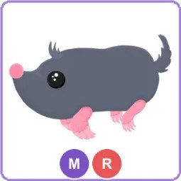 MR Sado Mole