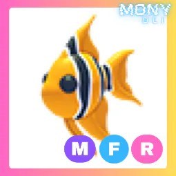MFR Angelfish