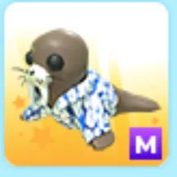 M Summer Walrus
