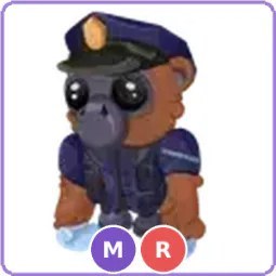 MR Officer Gibbon