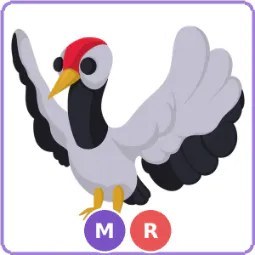 MR Red Crowned Crane