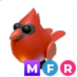 MFR Red Cardinal