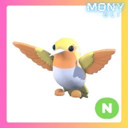 N Golden Hummingbird