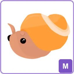 M Trapdoor Snail