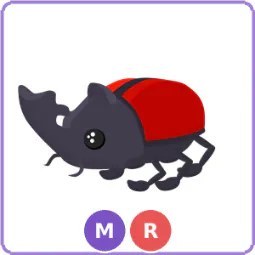 MR Rhino Beetle
