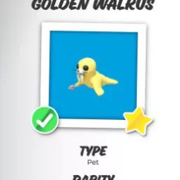 NR Golden Walrus