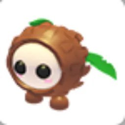 Coconut Friend