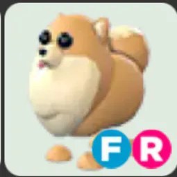 Pomeranian FR