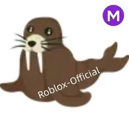 Walrus M