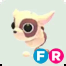 Kid Goat FR