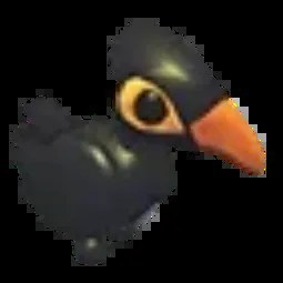 M Maleo Bird