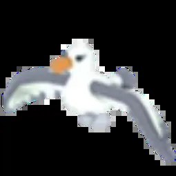Albatross M