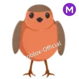 Robin M