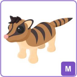 M Banded Palm Civet