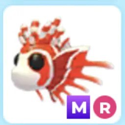 MR Lionfish Adm