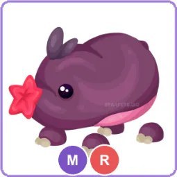 MR Mole