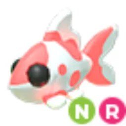 NR Koi Carp