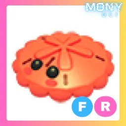 FR Red Sand Dollar
