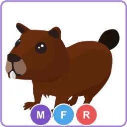 MFR Beaver